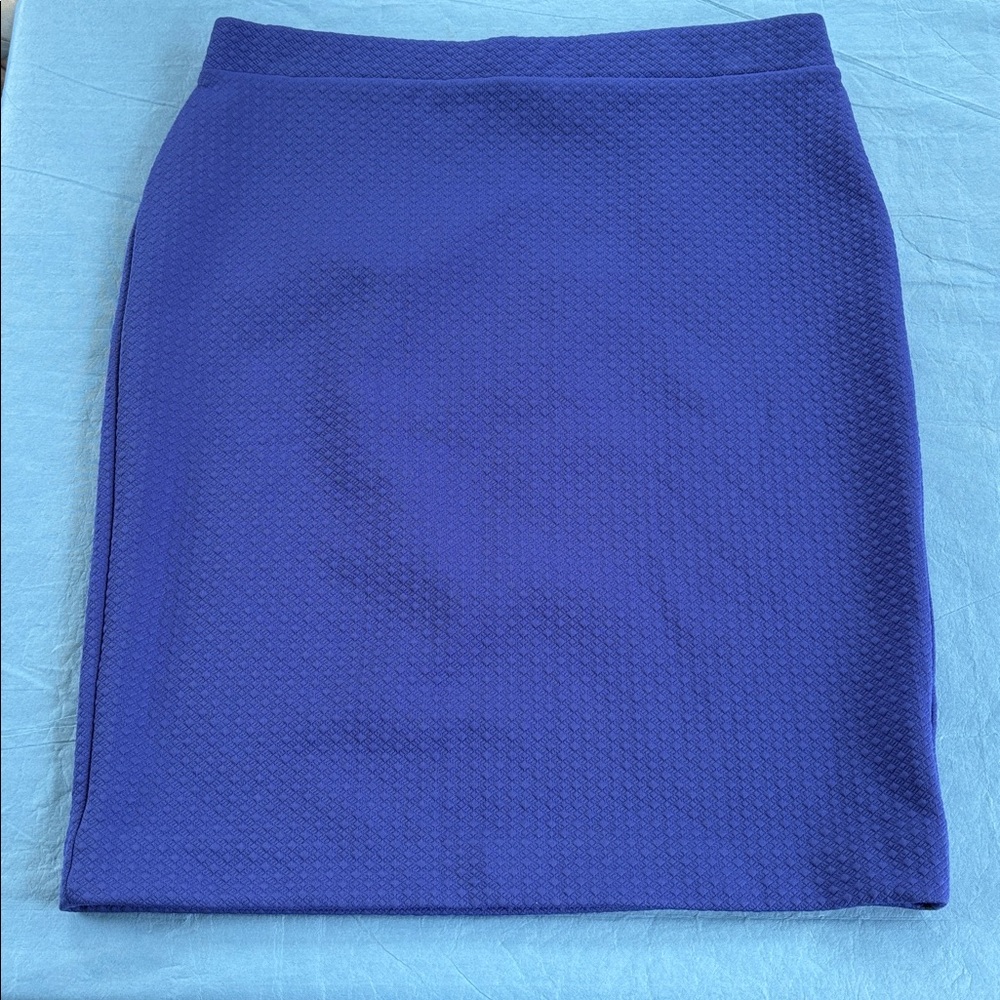 Elle Royal Blue Textured Skirt